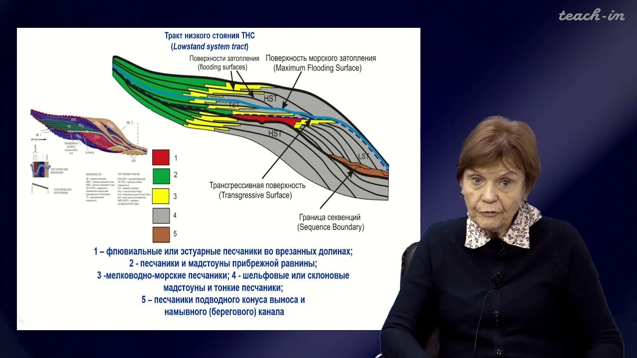 Сиквенс стратиграфия. Секвенция геология. Трансгрессивный системный тракт. Системный тракт. Системный тракт.