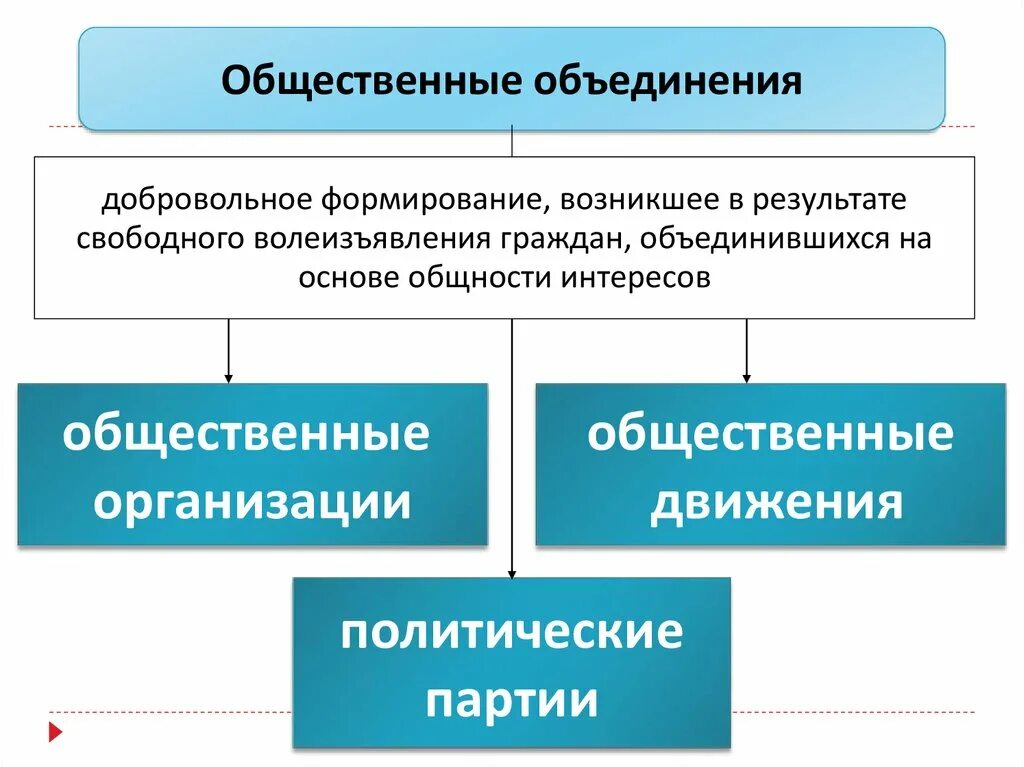 Предприятия учреждения и общественные объединения. Политические партии и общественные объединения. Виды общественных объединений. Общественные объединения схема. Основные виды общественных объединений.