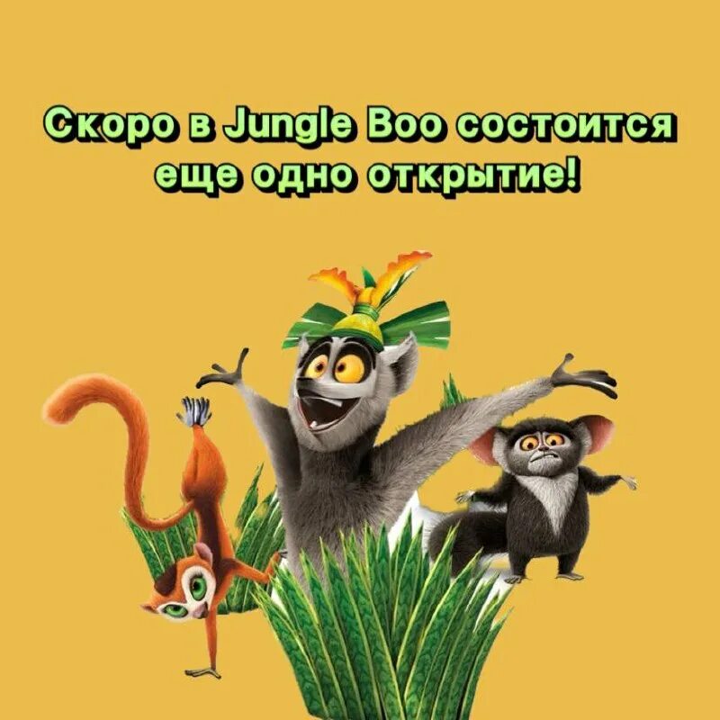 Jungle boo абакан