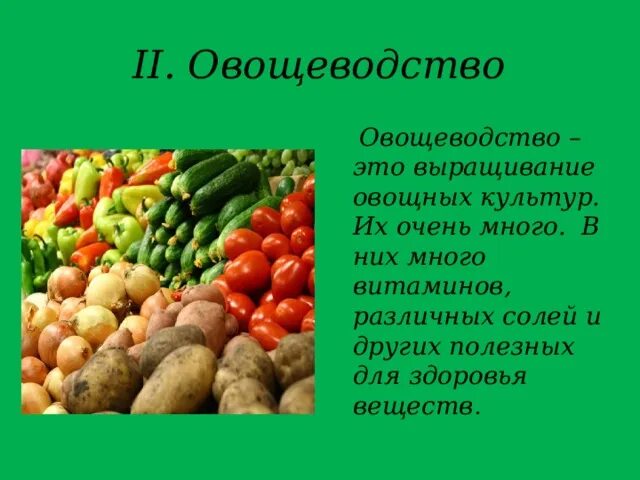 Проект по окружающему миру 4 класс овощеводство PPT Цель: PowerPoint Presentation, free download ID:5916997