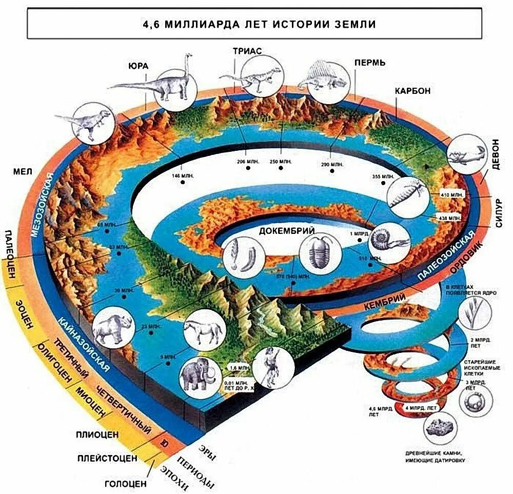 История земли ли. Эволюция земли. История земли схема. Развитие планеты земля. Этапы развития планеты земля.
