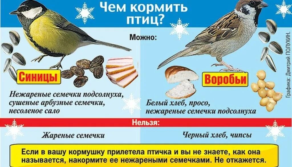 Какую крупу можно давать синичкам