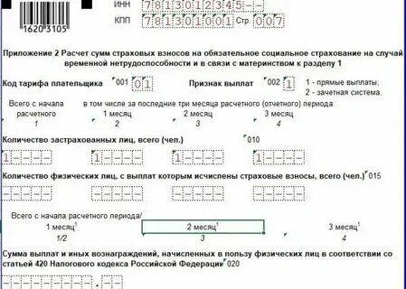 Рсв 3 квартал 2024 сроки