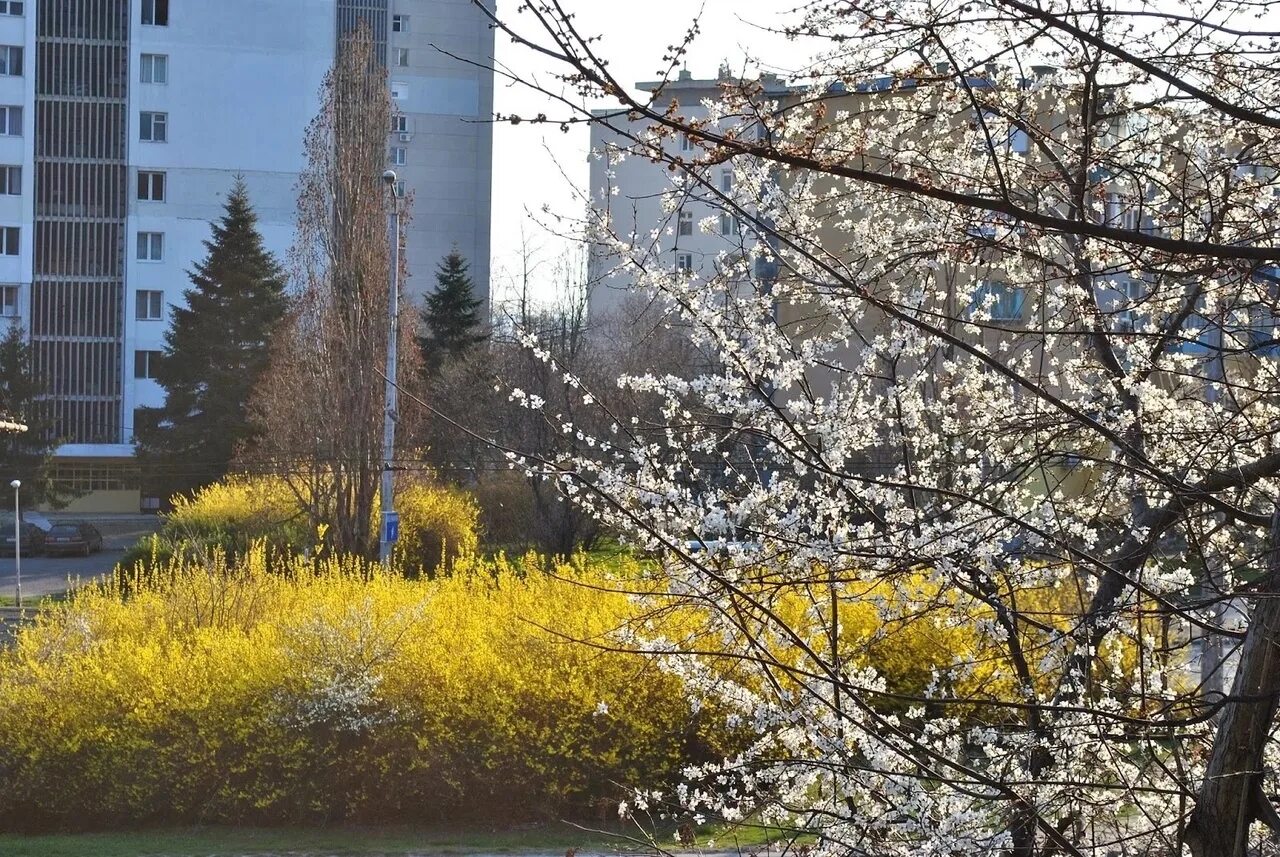 Апрель курчатов. Апрель в городе.