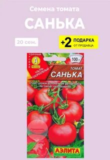 Помидор санька описание отзывы