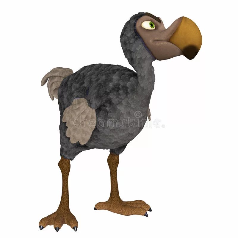 Dodo 3. Dodo 3. Маврикийский дронт или додо. Dodo 3. Плюшевый дронт.