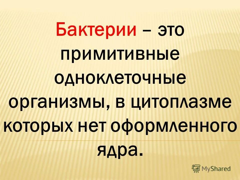 примитивные организмы бактерии