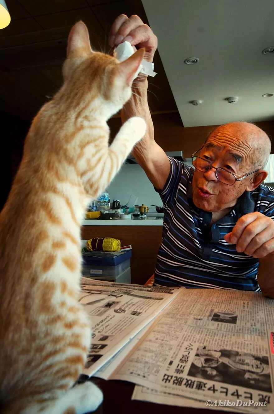 Кот и его человек 4. Дедушка кот. Котик старик. Дед с кошкой. Дедушка с котенком.