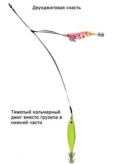 Снасть на кальмара