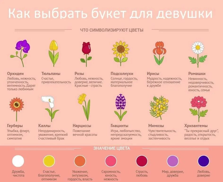Разные цветы точно по времени. Цветы и их обозначения. Что означают цветы. Что символизируют цветы. Цветы обозначающие любов.