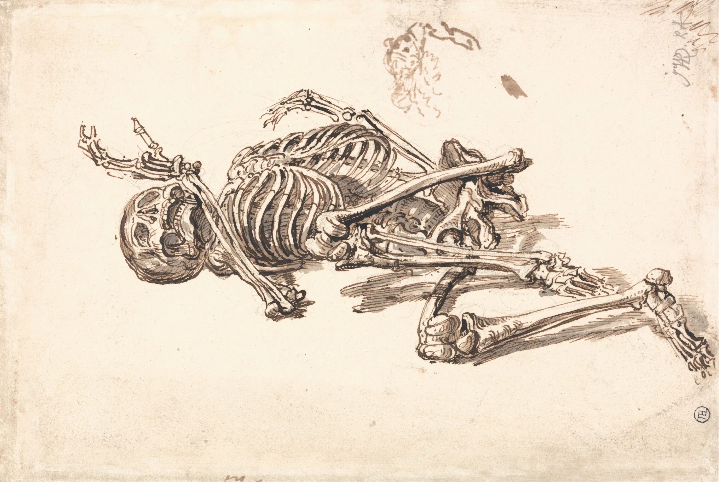Bone art. Скелет лежит. Лежачий скелет. Скелет рисунок. Человеческие кости.