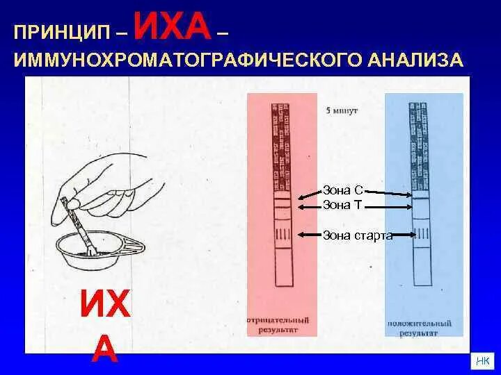 Иммунохроматографического анализа экспресс тест. Иммунохроматографический анализ микробиология. Принцип иммунохроматографического анализа. Имунно хроматографический анализ. Иммунохроматографический метод исследования.