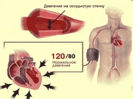 Почему верхнее давление выше нижнего