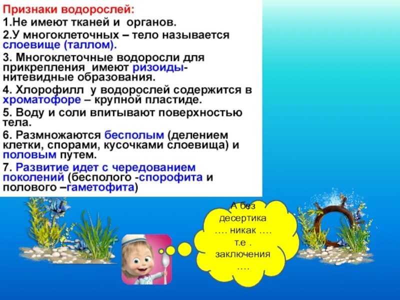 Признаки водорослей 5. Признаки водорослей. Общие признаки водорослей. Водоросли главные признаки. Для водорослей характерны Общие признаки.