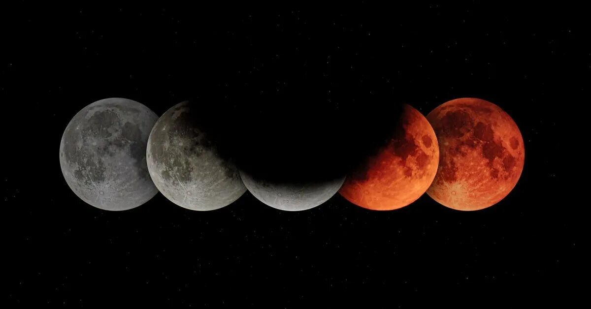 Кольцеобразное солнечное затмение. Eclipse solar затмение. В ноябре будет солнечное затмение. Затмение луны 2023. В ноябре будет солнечное затмение.