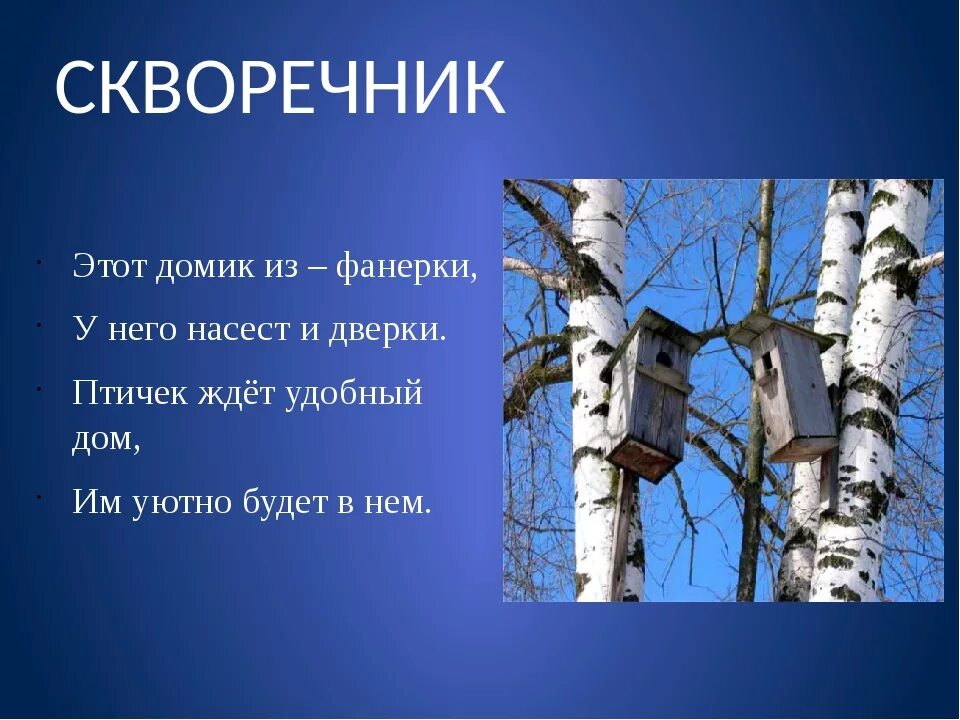 Скворечник ударение. Загадка про скворечник. Загадка про скворечник для дошкольников. Детские загадки о скворцах для детей. Загадка про скворца.