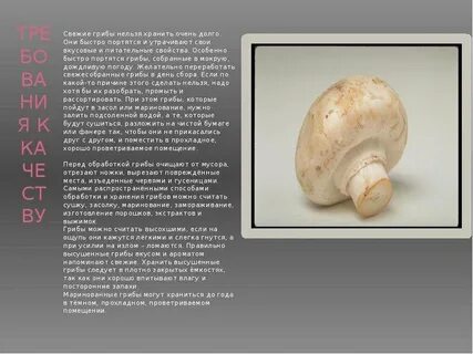 Сколько хранятся грибы закрытые в банки