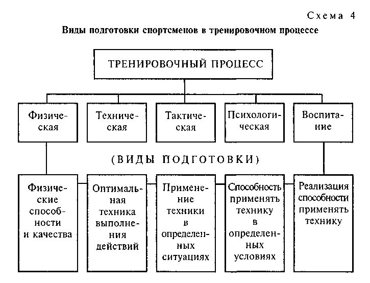 Характеристика подготовки спортсменов. Схема и организация тренировочного процесса. Структура тренировочного процесса виды. Схема управления тренировочным процессом. Основные компоненты тренировочного процесса.