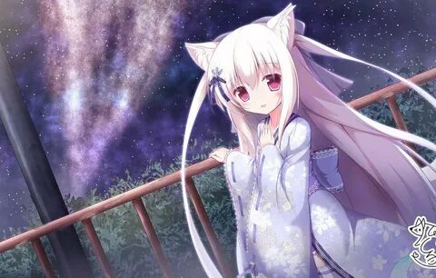 Catgirls from my dream