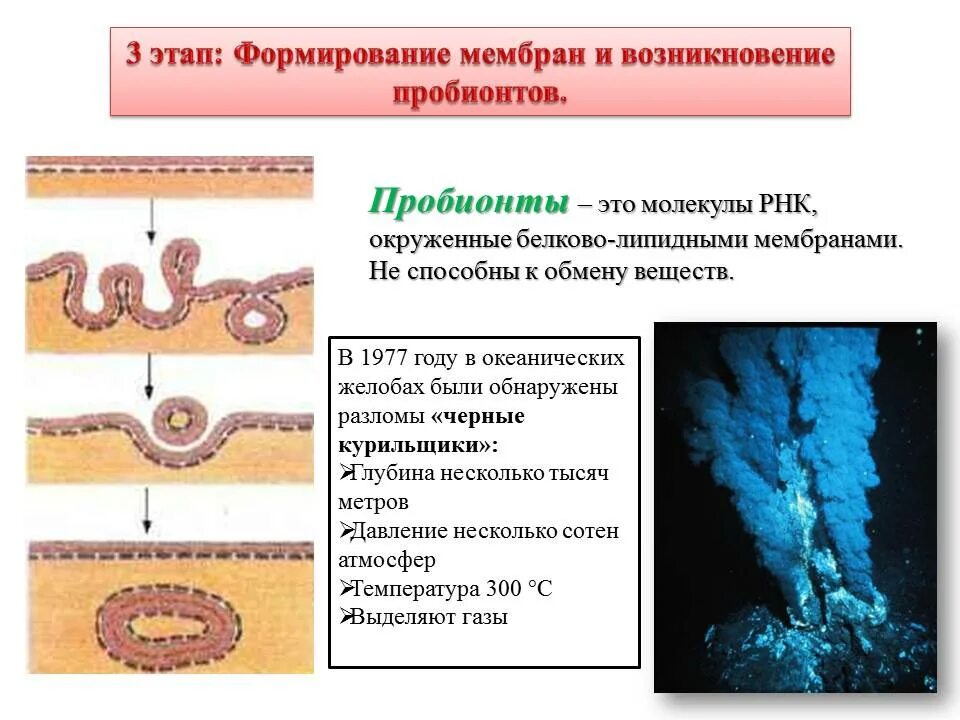 Плотный появление. Формирование мембранных структур и пробионтов. Образование мембран и возникновение пробионтов. Схема эволюции пробионтов. Формирование мембранных структур и первичных организмов пробионтов.