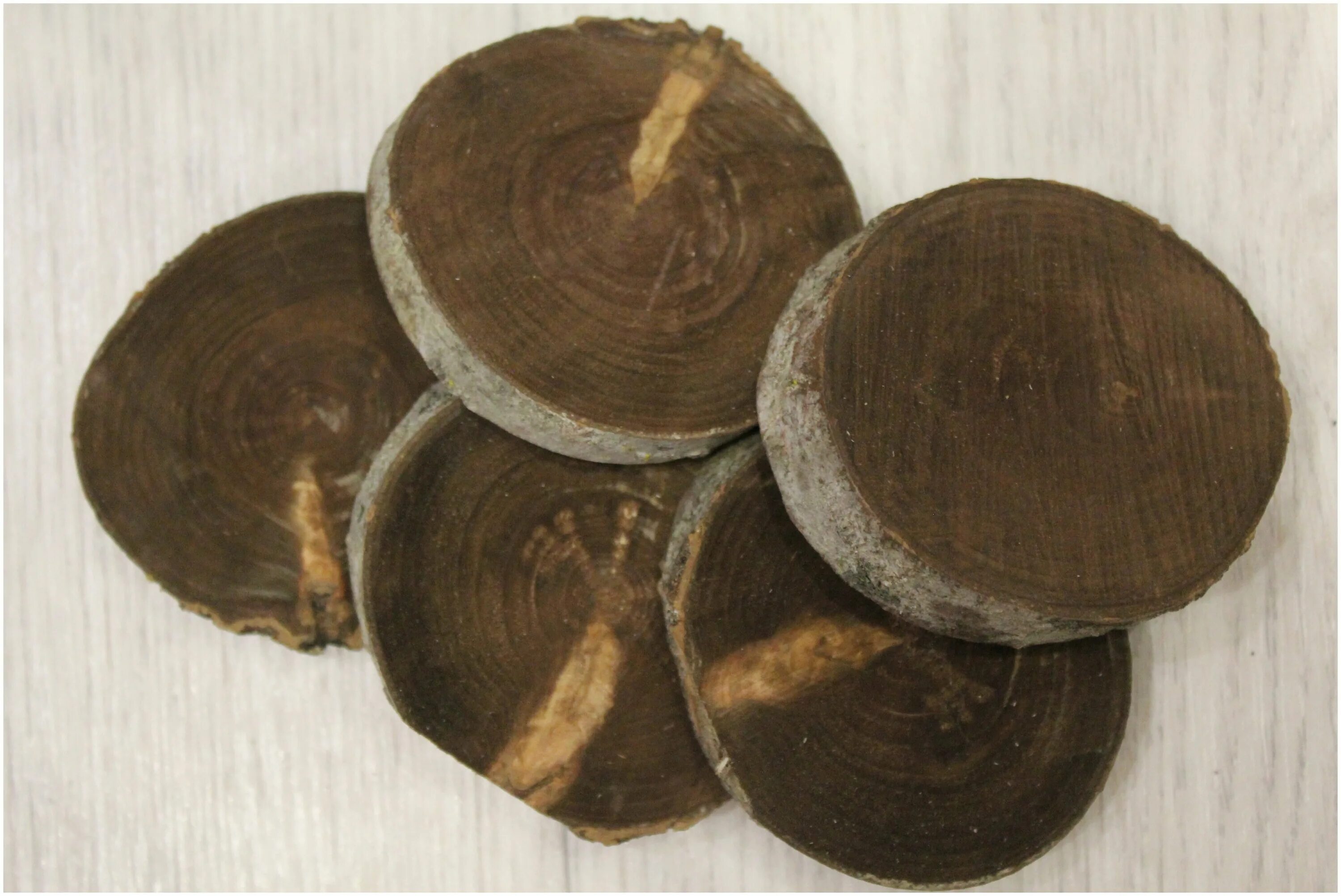 Спиленная осина. Пять осин. Осина древесина. Презентация деревья осенью. Осина древесина в разрезе.