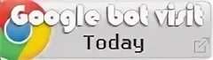 Google bot. Google бот. myip.соm.