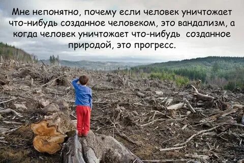 Были уничтожены человеком