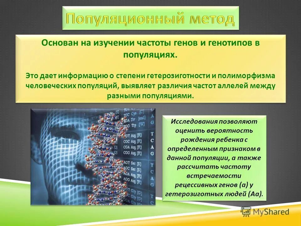 частота генов и генотипов в популяции