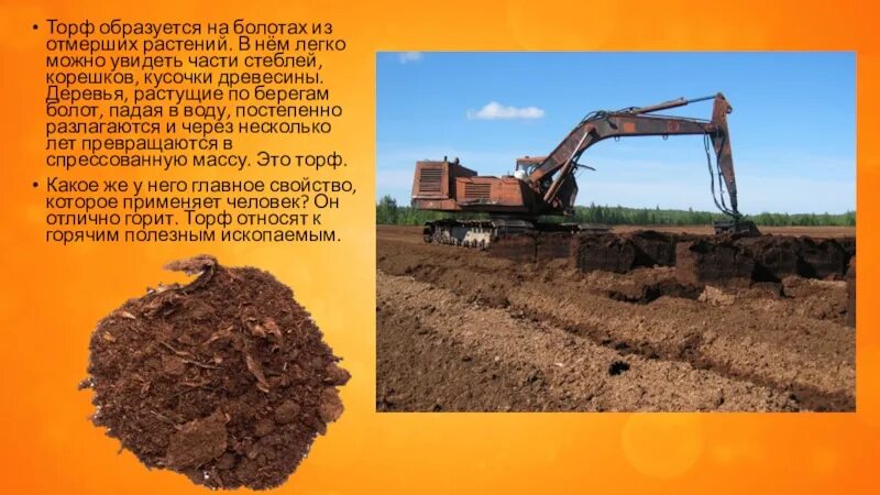 Для чего нужен торф. Где образуется торф. торф образуется из. как образуется торф. торф в сельском хозяйстве.