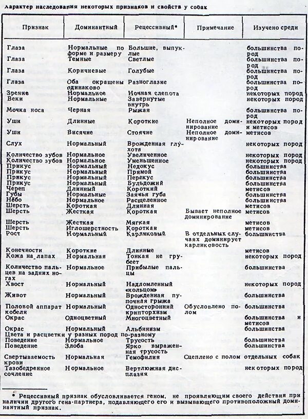 Таблица доминантных и рецессивных признаков. Таблица доминантных и рецессивных признаков животных. Таблица доминантный признак и рецессивный признак животных. Доминантные и рецессивные признаки у собак.