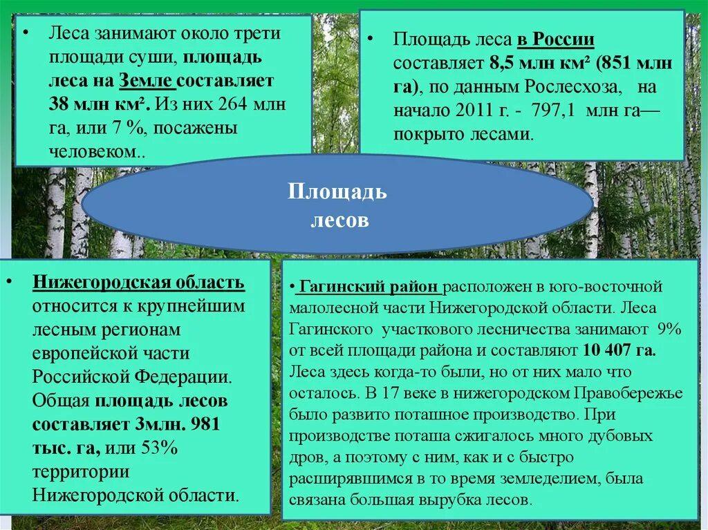 Леса занимают около. Лесные площади занимают. Площадь лесов на земле. Глобальные проблемы исчезновения лесов.