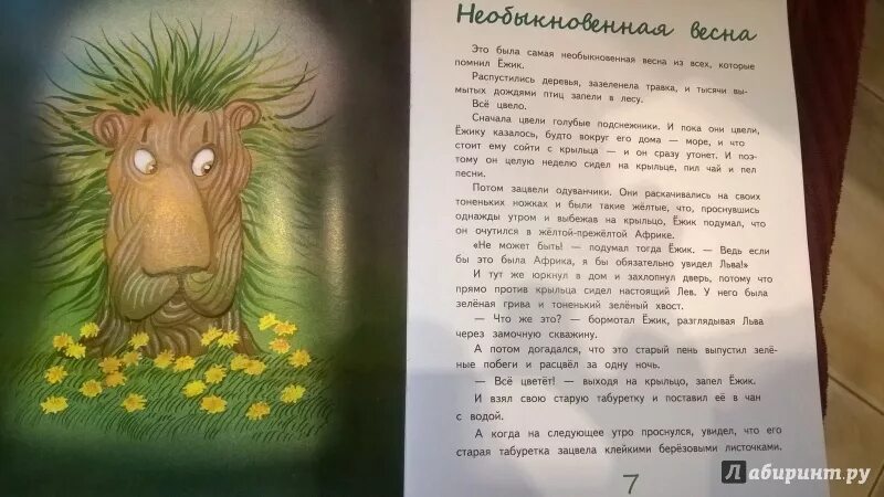 Козлов весенняя сказка. Иллюстрации к сказкам Козлова.