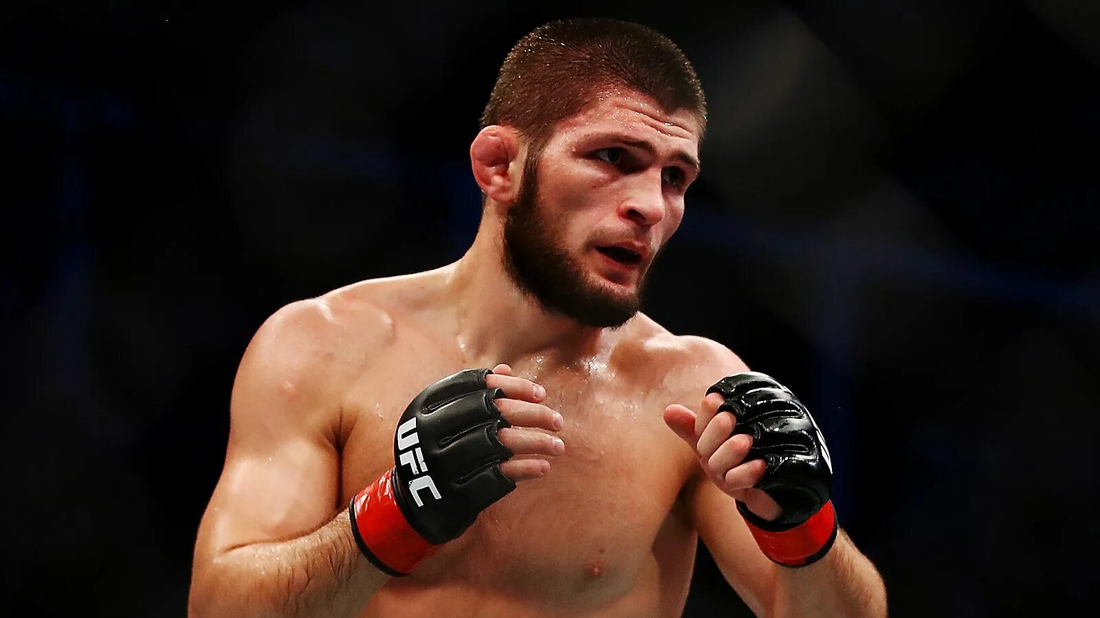 Номер хабиби. Хабиб нурмагомедов. Номер хабиби. Номер хабиби. Номер хабиби.