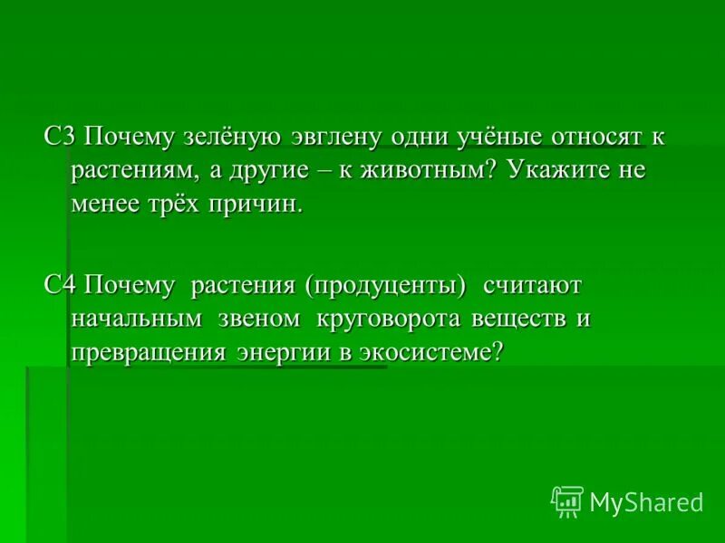 Почему растения считаются начальным звеном круговорота веществ