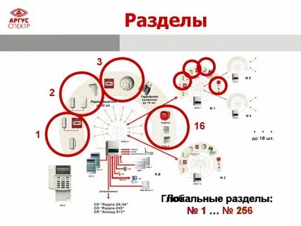Стрелец аргус