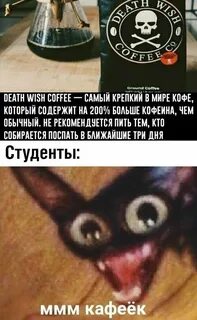 Кот ммм