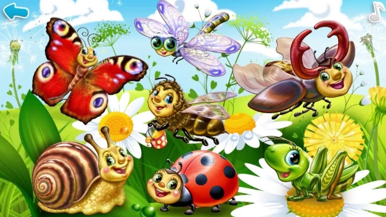 Насекомые для дошкольников. Мир насекомых. Детям о насекомых в детском саду. Насекомые летом для дошкольников. Насекомые тема детского сада