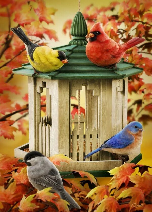 Fall bird. Осенние птицы. Осень птицы. Красивые осенние птицы. Птички осенью.