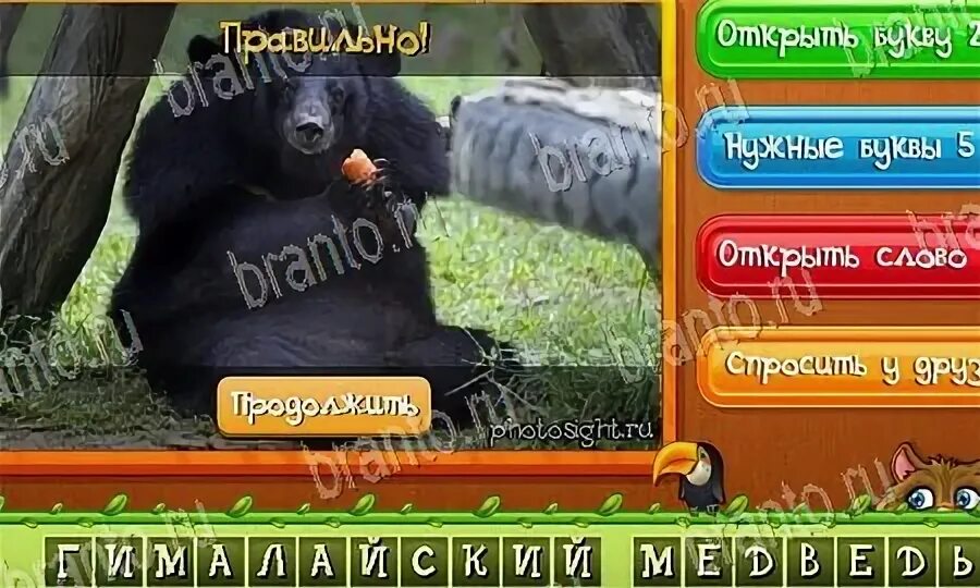 Игру угадай какое животное