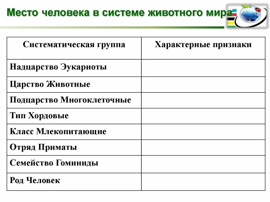 Какое место человек занимает в царстве животных. Место человека в системе.