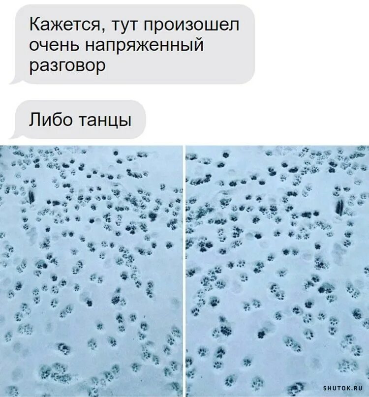 Самый лучший мем 2025. Мемы ноябрь 2025. мемы 2025 смешные с надписями картинки. морозное утро картинки с надписью. доброе утро хорошего дня картинки со снегом.