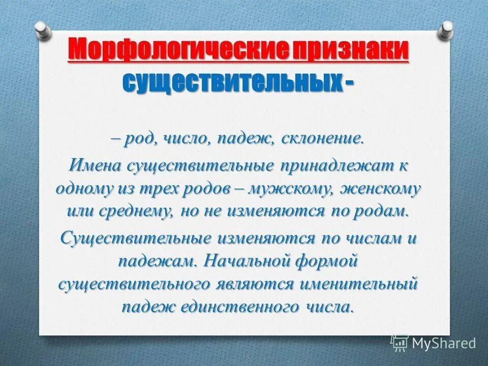 Нес медведь шагая к рынку на продажу. Морфологические признаки существительного. Морфологические признаки существительных. Признаки существительного. Имя существительное признаки.