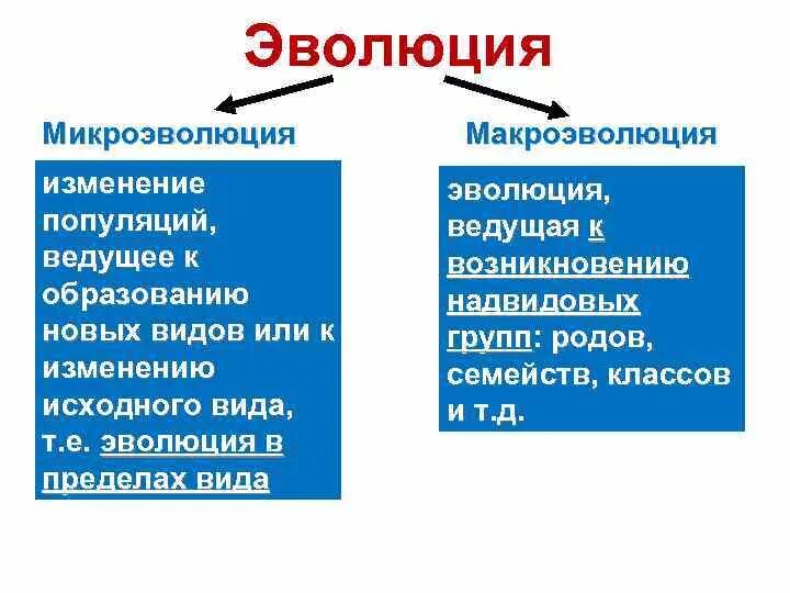 Эволюционное изменение общества. Микроэволюция виды образования. Типы эволюционных изменений. Эволюционные изменения. Типы эволюционных изменений примеры.