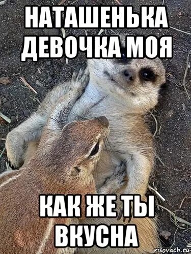 стихи про наташу красивые. я тебя люблю наташенька. с днём рождения наташа красивые поздравления. с днём рождения натаха прикольные. поздравление с днём рождения наталье в стихах.