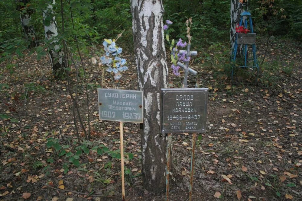 Кладбище жертв сталинских репрессий. Захоронение жертв политических репрессий пудож. Мемориал жертв политических репрессий иркутск. Оренбург зауральная роща памятник репрессированным. Жертвы политических репрессий.