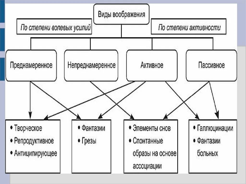 Два примера воображения. Классификация видов воображения. Виды воображения схема. Классификация воображения в психологии. Виды воображения таблица.