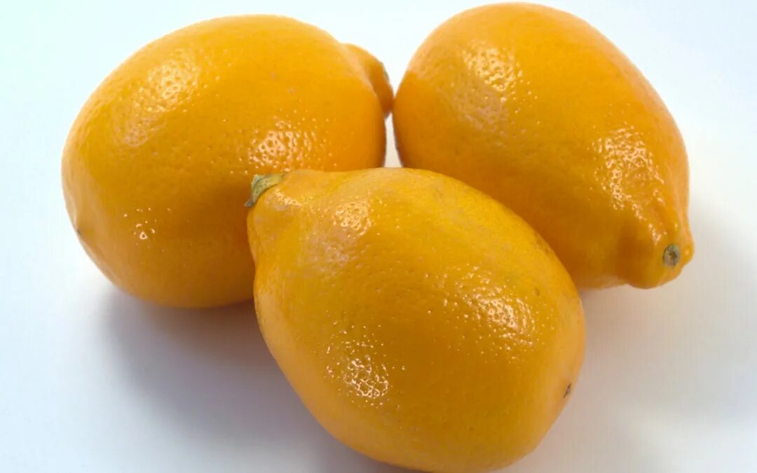 Вес 1 лимона. Лимон Ташкентский. Азербайджанский лимон. Узбекский лимон оранжевый. Лимон оранжевого цвета.