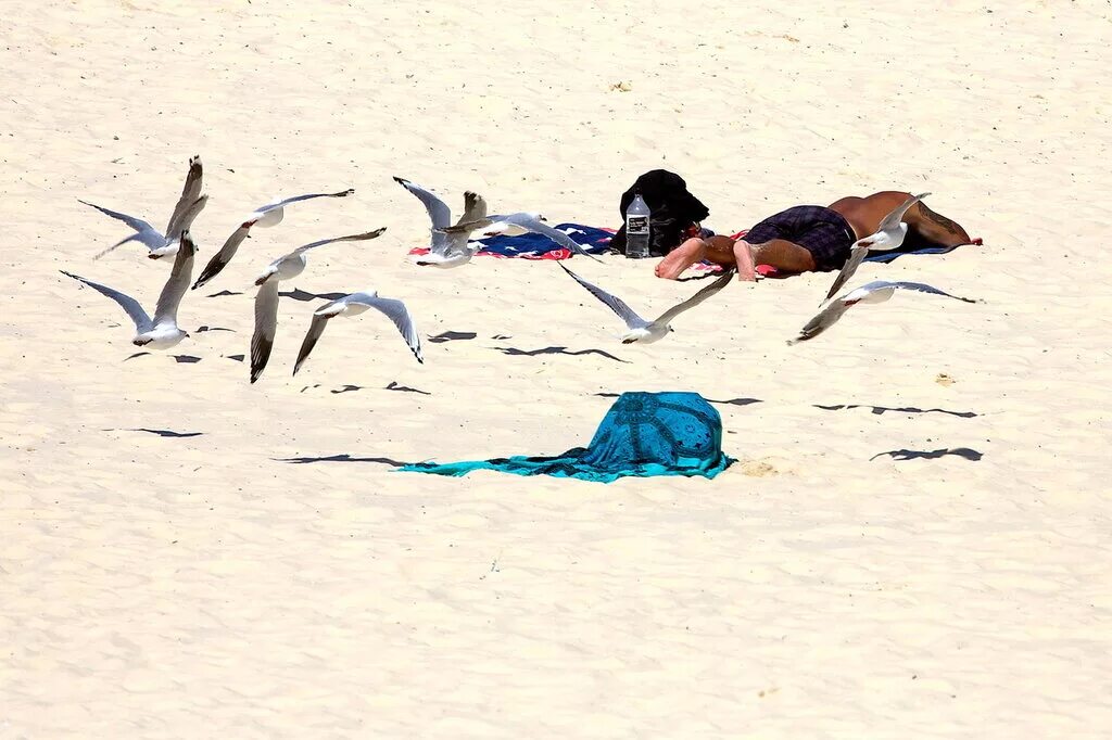 австралия люди ходят вверх ногами. австралия люди ходят вверх ногами. человек вверх ногами. смешное люди вверх ногами. австралия страна вверх ногами.