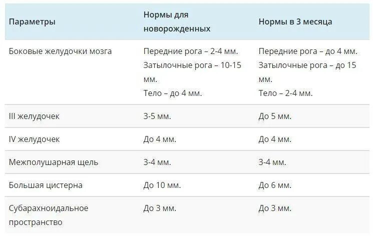 Нормы желудочков мозга у плода