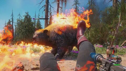 Медведь far cry